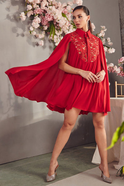 Ruby Red Lace And Georgette Mini Dress - Zabella