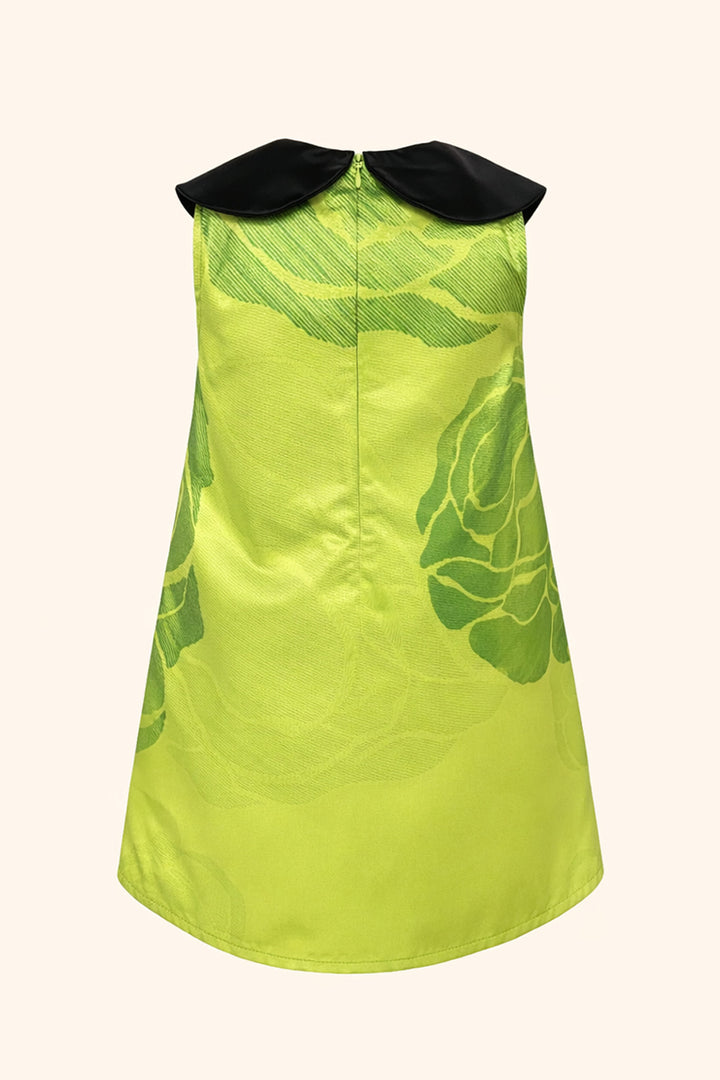 Aria Mini Dress