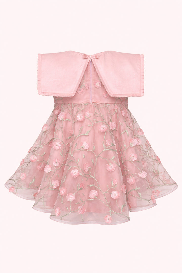 Elsa Embroidered Mini Dress