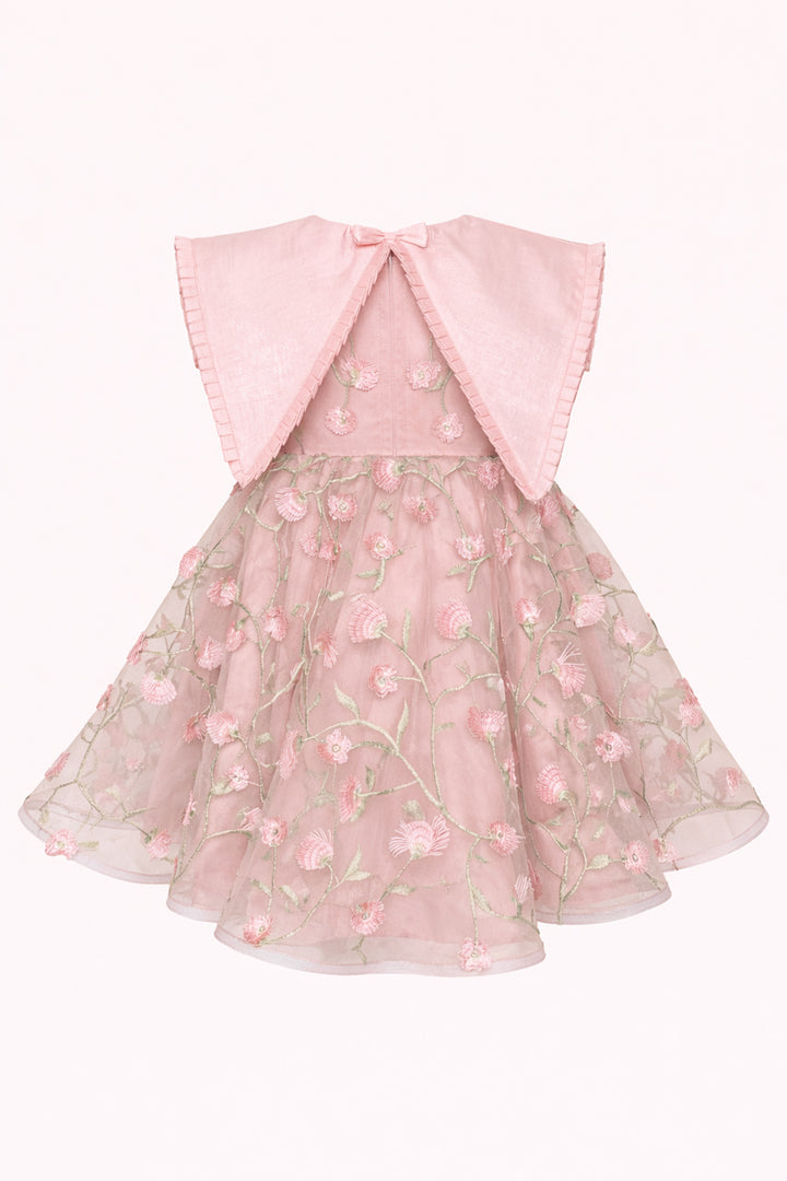 Elsa Embroidered Mini Dress