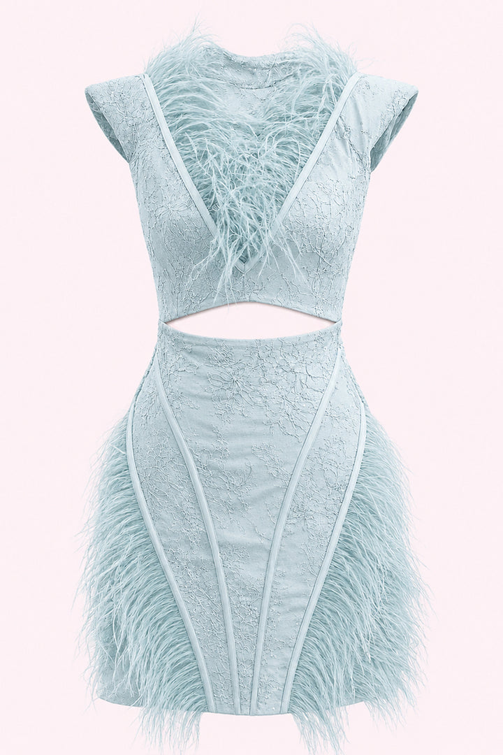 Luciana Feather Lace Mini Dress