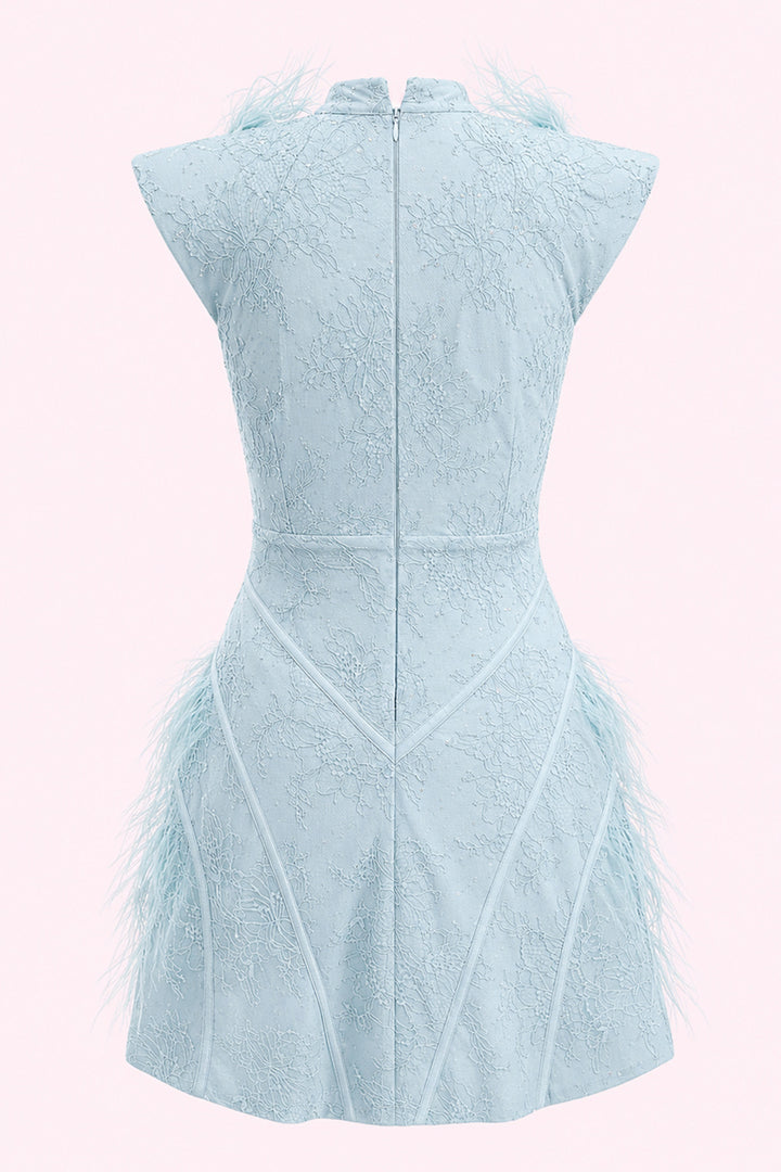 Luciana Feather Lace Mini Dress