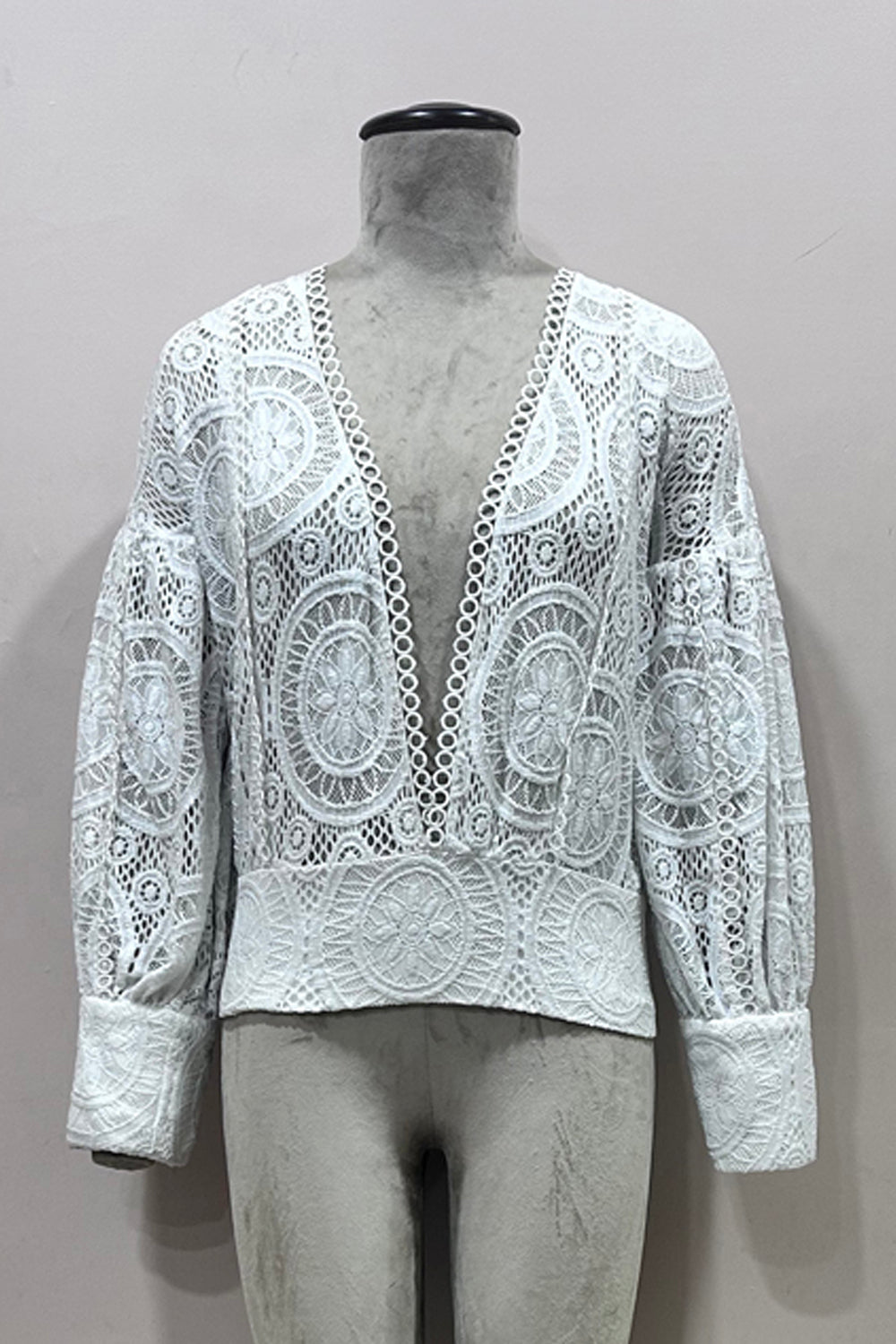 Lace V Neckline Top