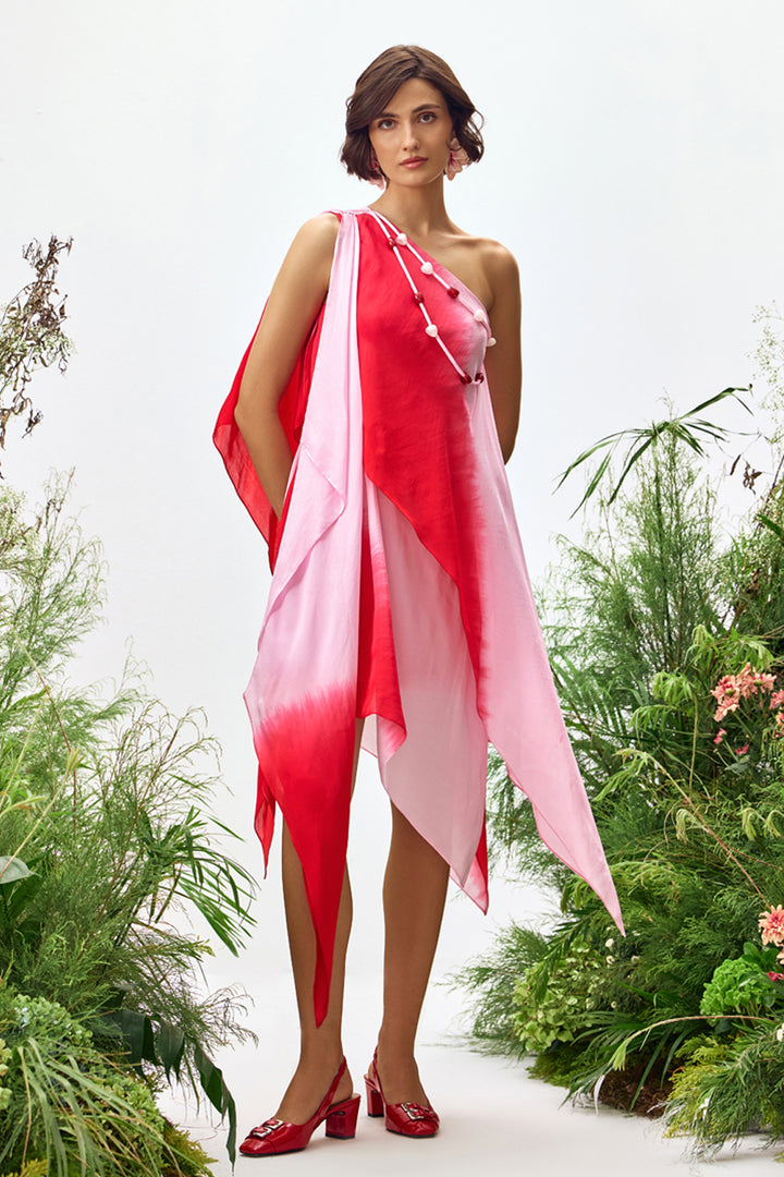 Belle Ombre Asymmetric Dress