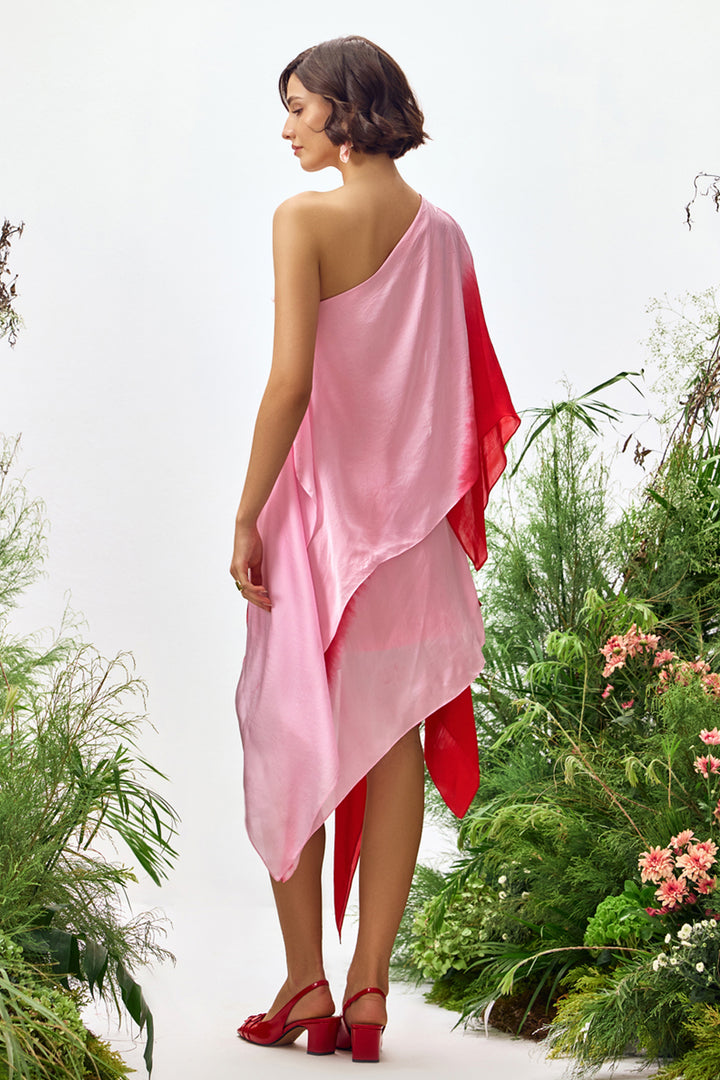 Belle Ombre Asymmetric Dress