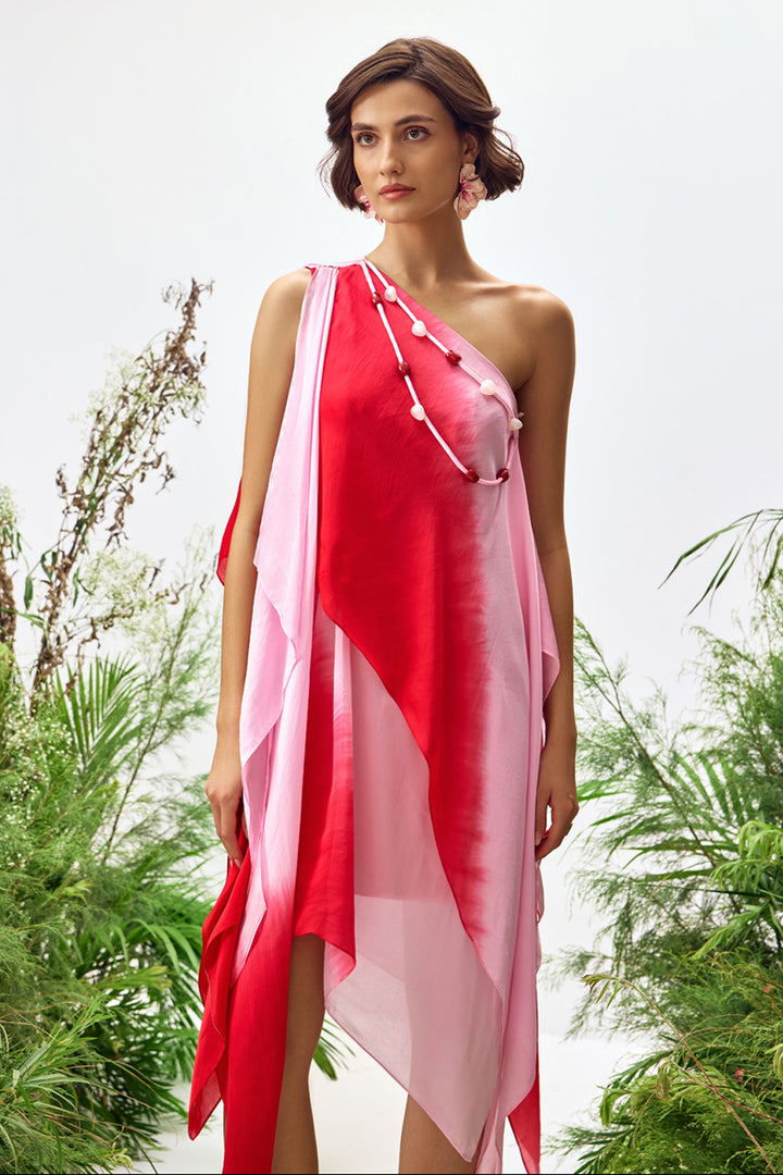 Belle Ombre Asymmetric Dress