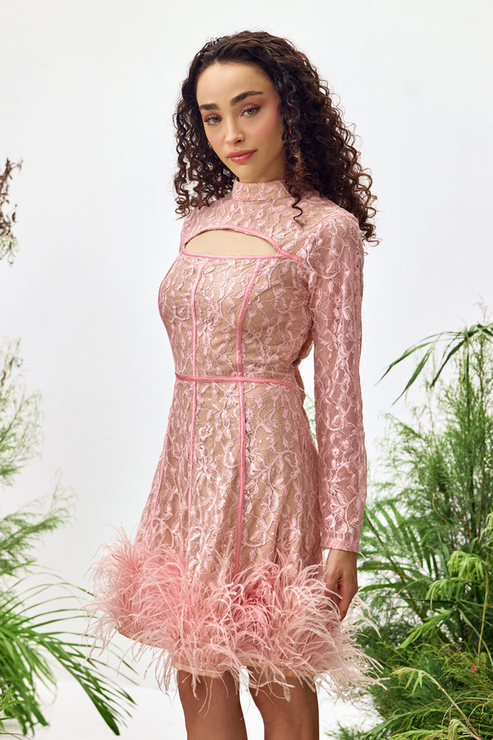 Rose Lace Feather Mini Dress