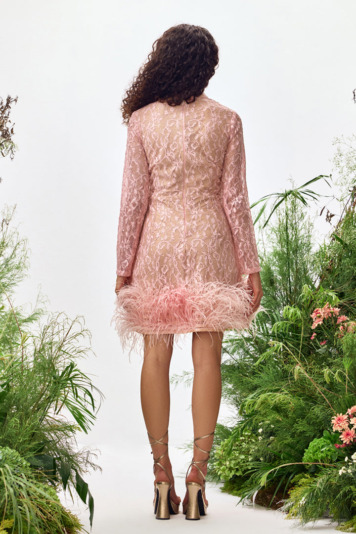 Rose Lace Feather Mini Dress