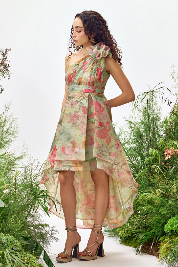 Alice Printed One Shoulder Dress