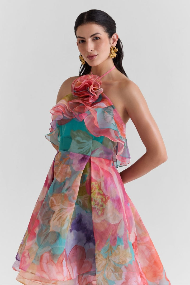Amour Print Organza Dress - Zabella
