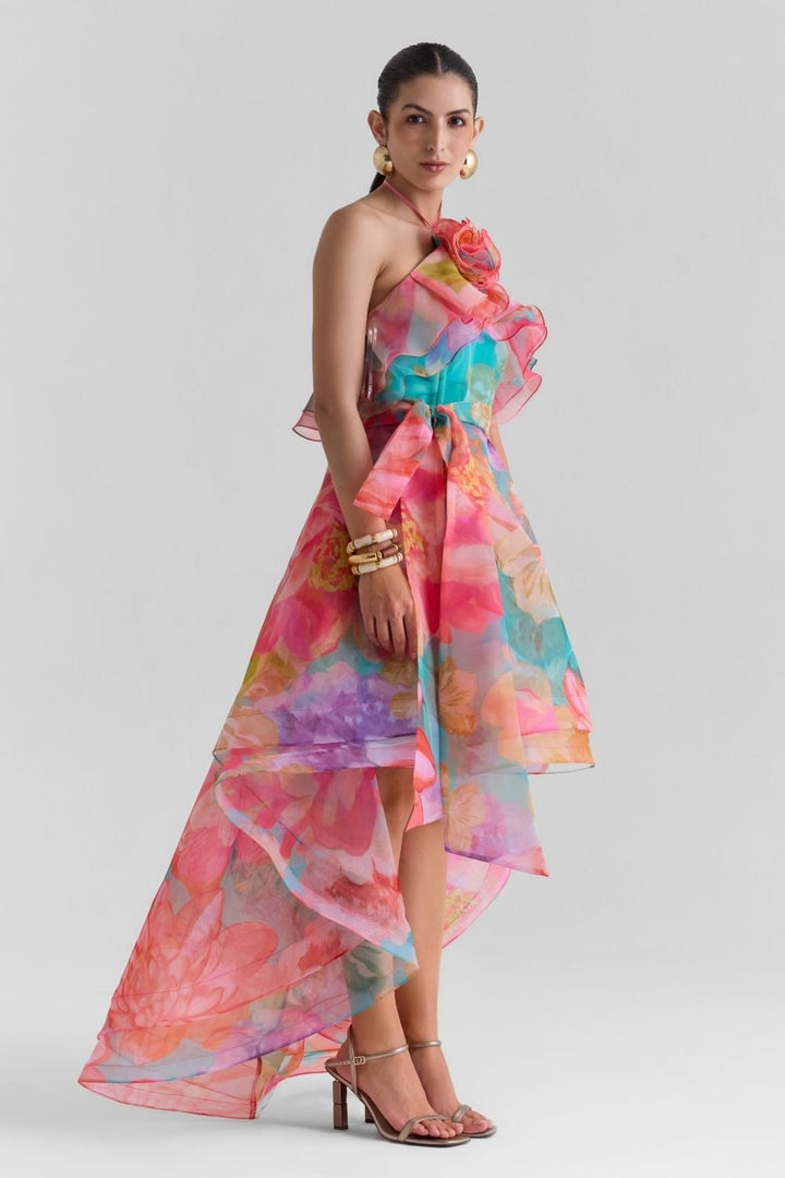 Amour Print Organza Dress - Zabella