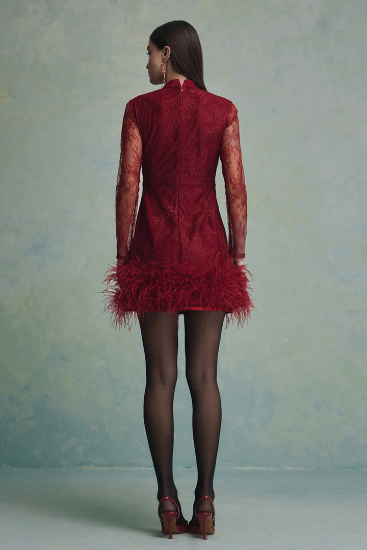 Luna Feather Lace Mini Dress - Zabella