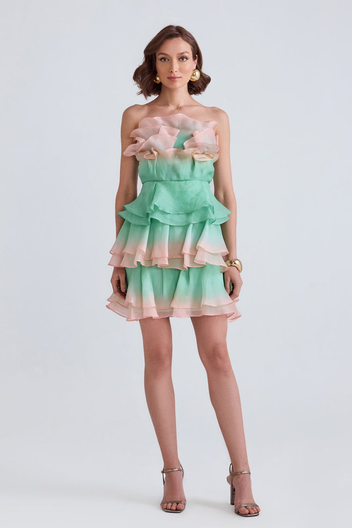 Sage Ombre Organza Mini Dress - Zabella
