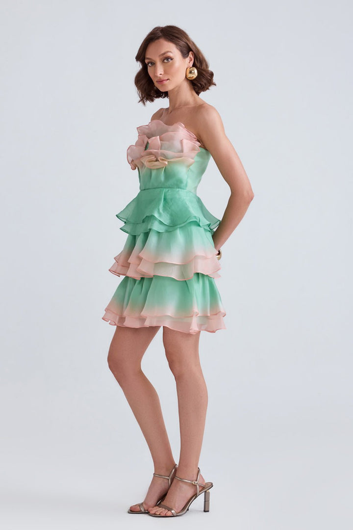 Sage Ombre Organza Mini Dress - Zabella