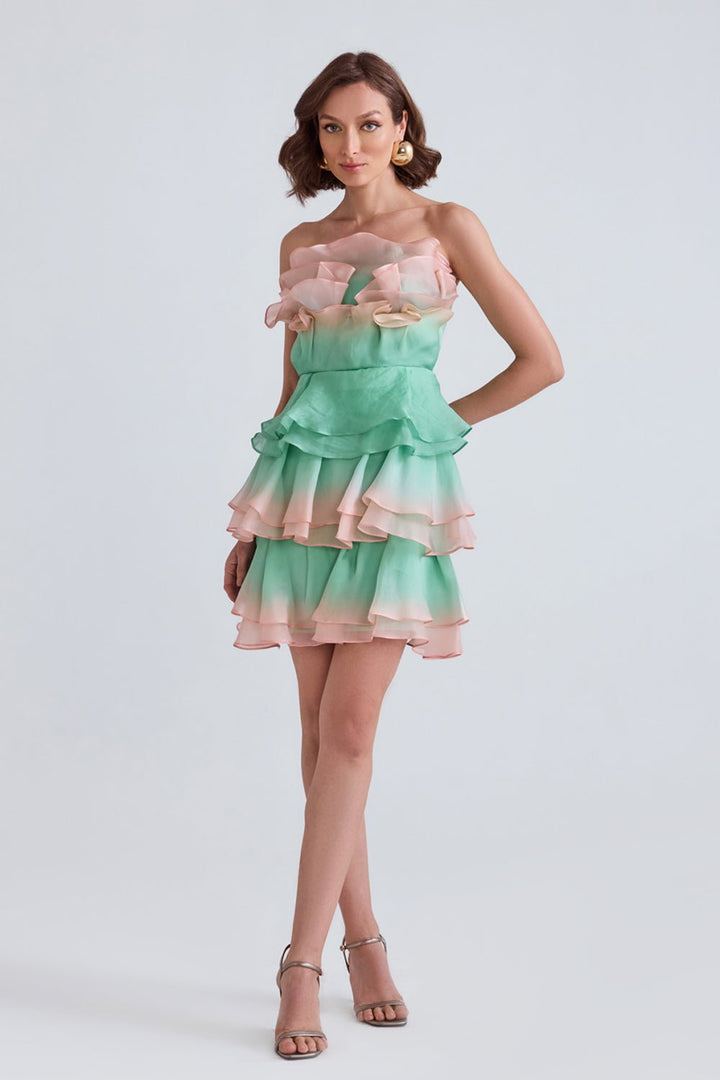 Sage Ombre Organza Mini Dress - Zabella