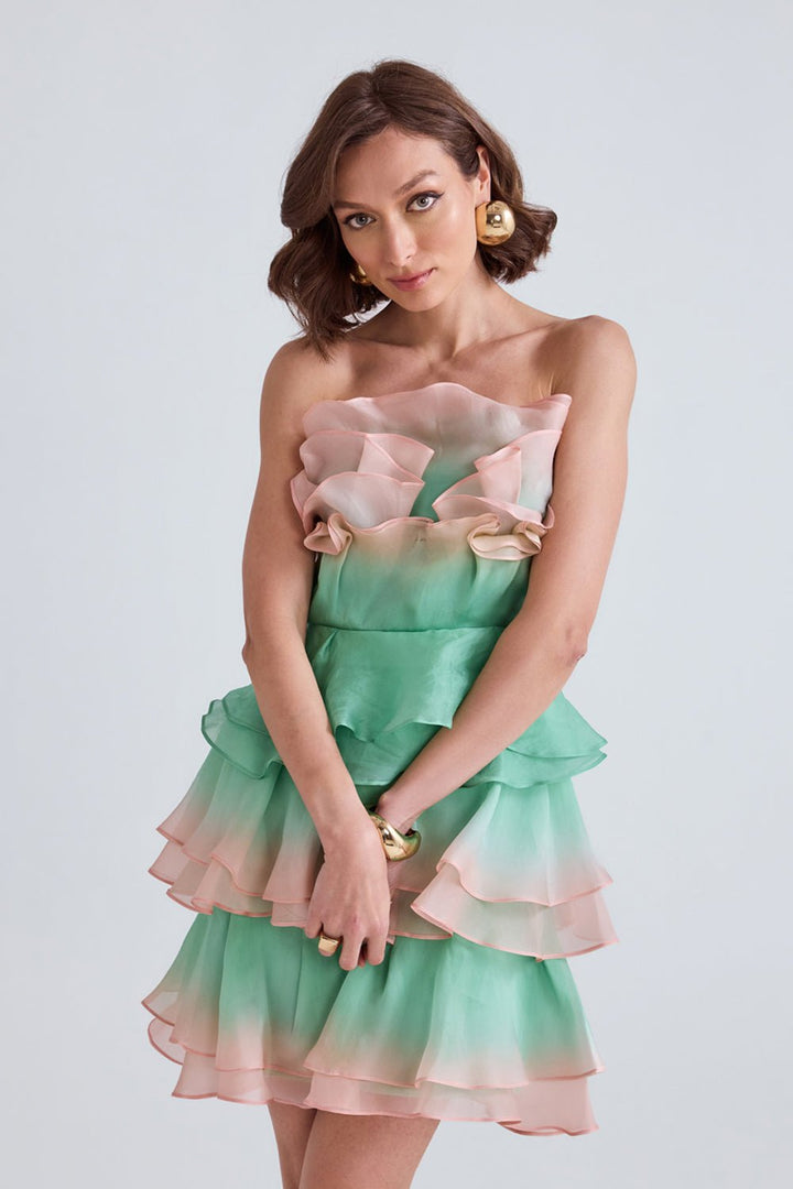 Sage Ombre Organza Mini Dress - Zabella