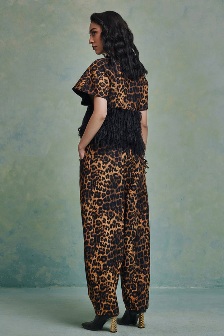 Wild Heirloom Set - Zabella