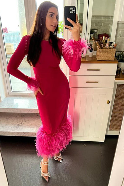 Barbie Pink Dress With Feathers - Zabella