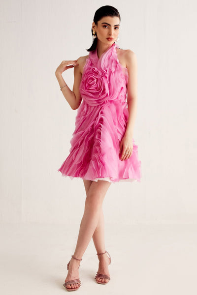 Carnation Pink Organza Mini Dress - Zabella