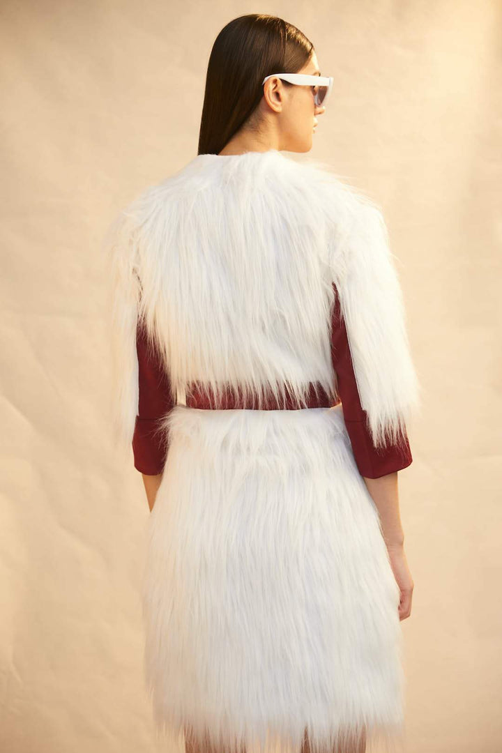 Faux Fur Jacket Dress - Shopzabella