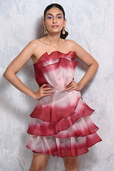Ombre Rose Ruffle Dress - Shopzabella
