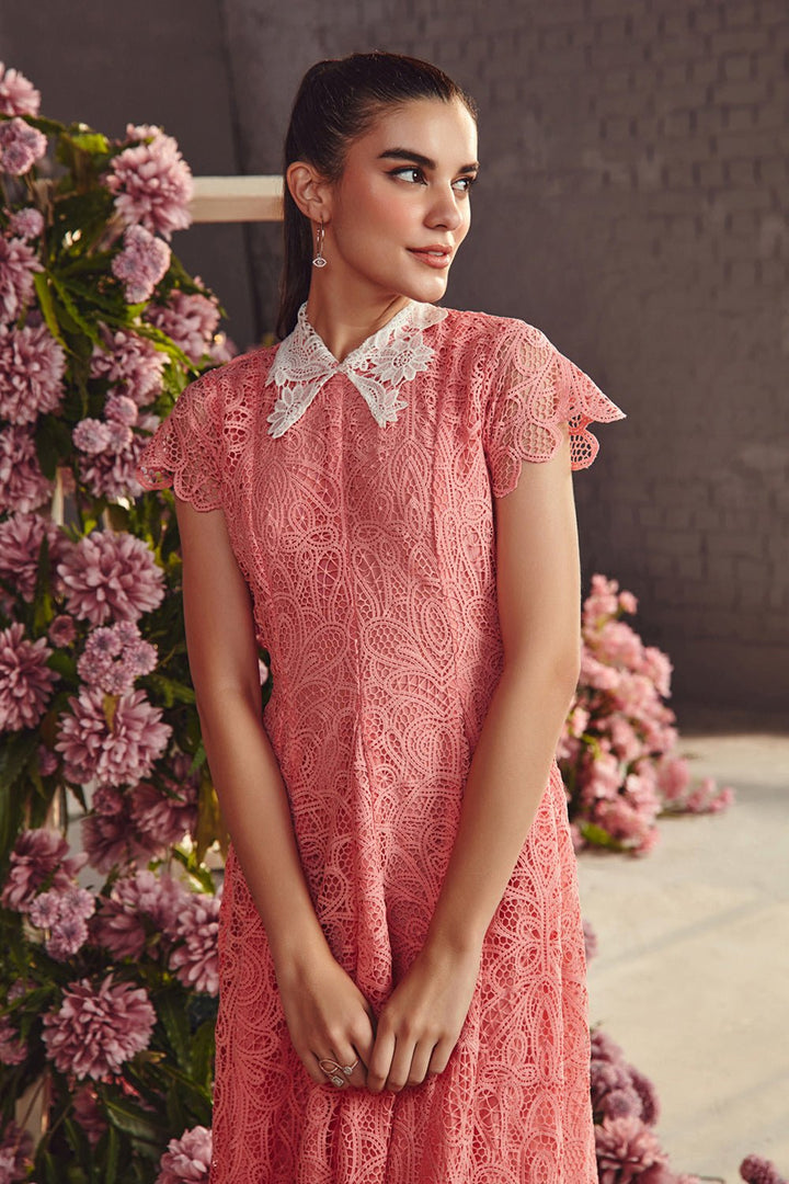 Peach Lace Collar Midi Dress - Zabella