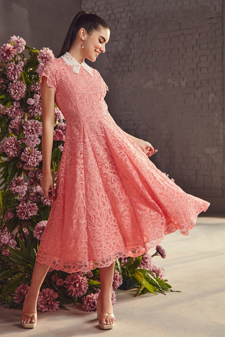 Peach Lace Collar Midi Dress - Zabella