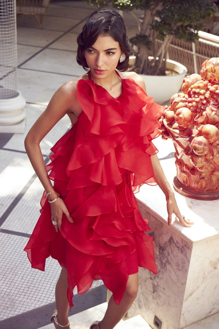 Scarlet Ruffle Dress - Shopzabella